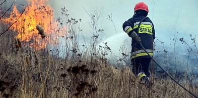 Strażacy: ponad cztery razy więcej pożarów traw niż w styczniu i lutym 2024 r.-94172