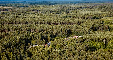 Spore powierzchnie lasu pod Mielcem objęte ochroną przez leśników -94391