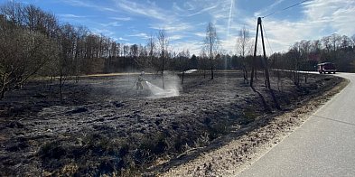 Ponad 250 pożarów traw. Także w powiecie mieleckim-94545