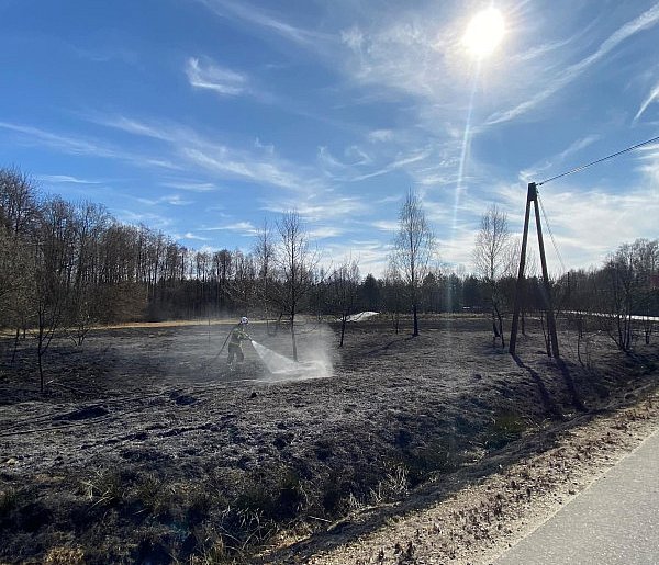 Ponad 250 pożarów traw. Także w powiecie mieleckim-94545