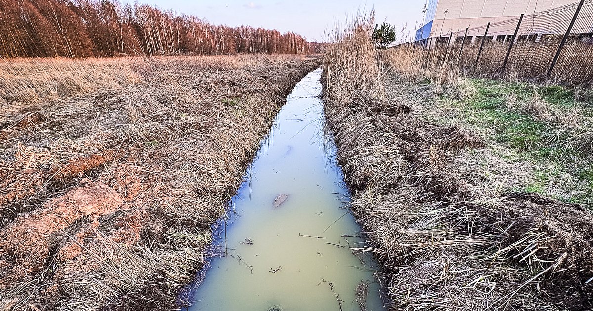 Skażenie na Inwestorów: woda nadal tkwi w rowie [FOTO] - HEJ.MIELEC.PL
