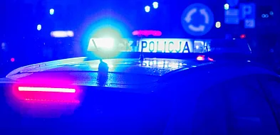Pijany kierowca toyoty wjechał do rowu przy ul. Wolności-96485