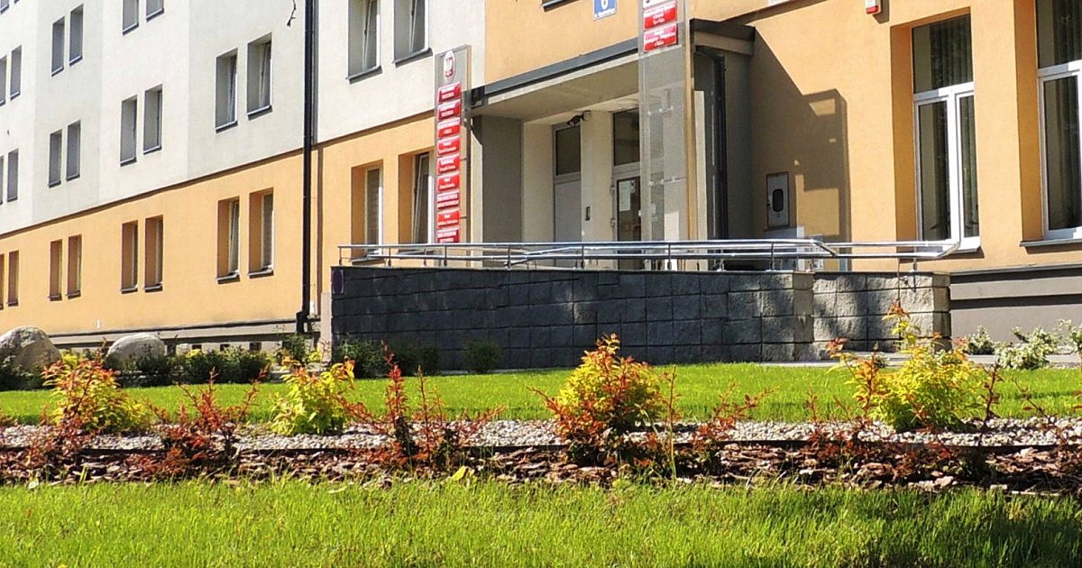 Urzędnicy zlecili pielęgnację zieleni. Ile to kosztuje? - HEJ.MIELEC.PL