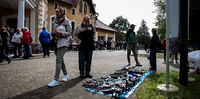 Czy kolekcjonowanie ma jeszcze sens? Noc Muzeum w Pałacyku Oborskich [FOTO]-96598