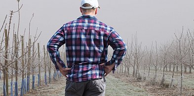 Ostrzeżenie meteorologiczne dla powiatów naszego województwa-96787