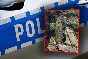 Znaleźli pocisk artyleryjski. Służby na miejscu-97140