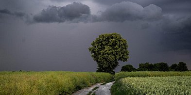 IMGW: ostrzeżenia I i II stopnia dla całego kraju-97243