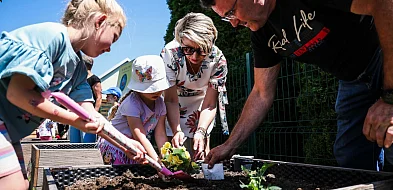 Otworzyli działkę edukacyjną. Z myślą o najmłodszych [FOTO]-97490