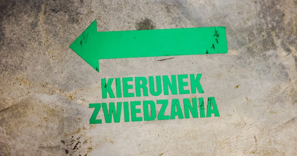 Korzenie i barwa - prace Mariana Pietruszki w Galerii MBP - HEJ.MIELEC.PL