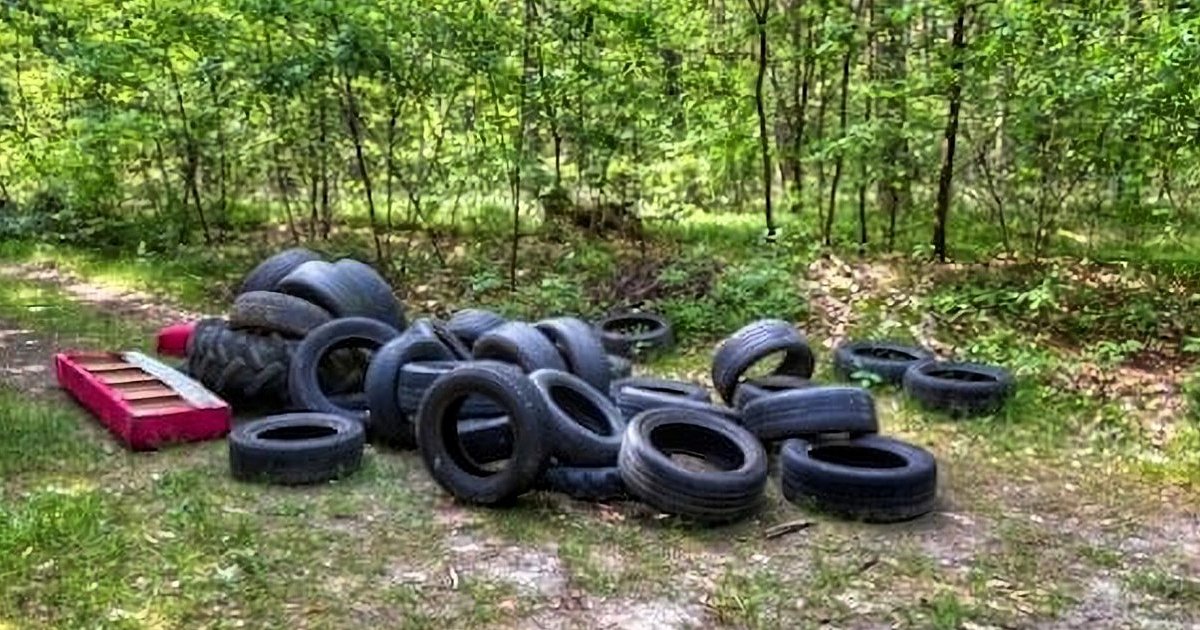 Sterta opon znaleziona w lesie. Nadleśnictwo: 700 kg - HEJ.MIELEC.PL