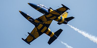 Baltic Bees w Mielcu! Widowiskowy przylot [FOTO]-97636