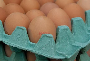 Salmonella na jajach znanej marki. Nie jedz, jeśli masz je w lodówce!-97940