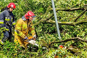 Jedna osoba ranna po przejściu nawałnicy w powiecie mieleckim-98118
