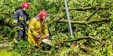 Jedna osoba ranna po przejściu nawałnicy w powiecie mieleckim-98118