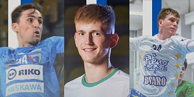 Ekstraklasa piłkarzy ręcznych: Stal buduje skład na nowy sezon-98081