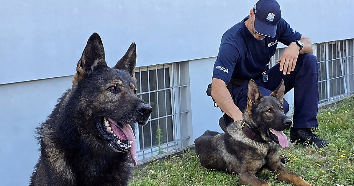 Mielecka Policja ma nowego psa służbowego - HEJ.MIELEC.PL