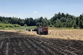 Duży pożar na granicy powiatu mieleckiego i tarnobrzeskiego-98586