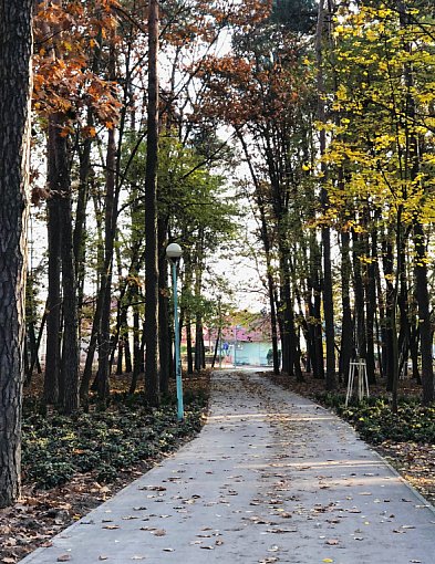Co dalej z parkiem przy Kazimierza Wielkiego? Będą konsultacje-98655