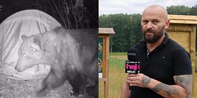 Głos mieleckiego eksperta w sprawie podkarpackich niedźwiedzi [WIDEO]-98723