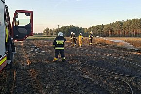 Duży pożar. Gasili strażacy z dwóch powiatów-99079