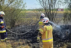 Pożar w Goleszowie, blisko wsi-99169
