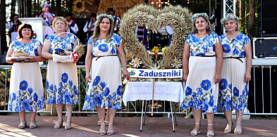 Rolnicy z gminy Padew Narodowa świętowali w Kębłowie [FOTO]-99253