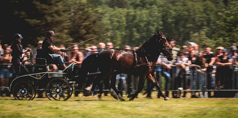 16. Parada Konna w Żarówce w niedzielę: Partnerem Województwo Podkarpackie - 99337