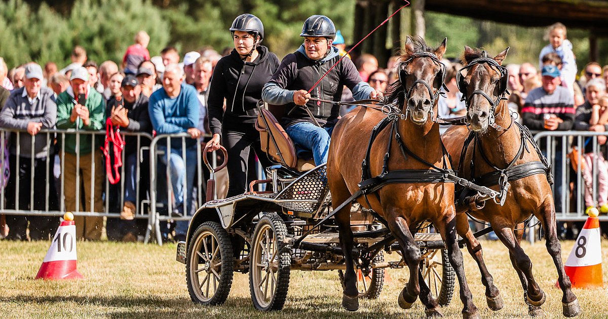 Tłumy na corocznym "święcie konia" [FOTO, WIDEO] - HEJ.MIELEC.PL