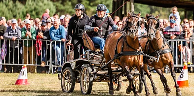 Tłumy na corocznym „święcie konia” [FOTO, WIDEO] -99474