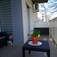 zdjecie ogloszenia