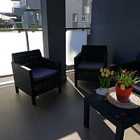 zdjecie ogloszenia
