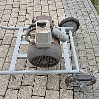 zdjecie ogloszenia