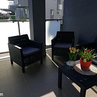 zdjecie ogloszenia