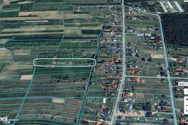 zdjecie ogloszenia