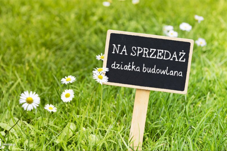 zdjecie ogloszenia