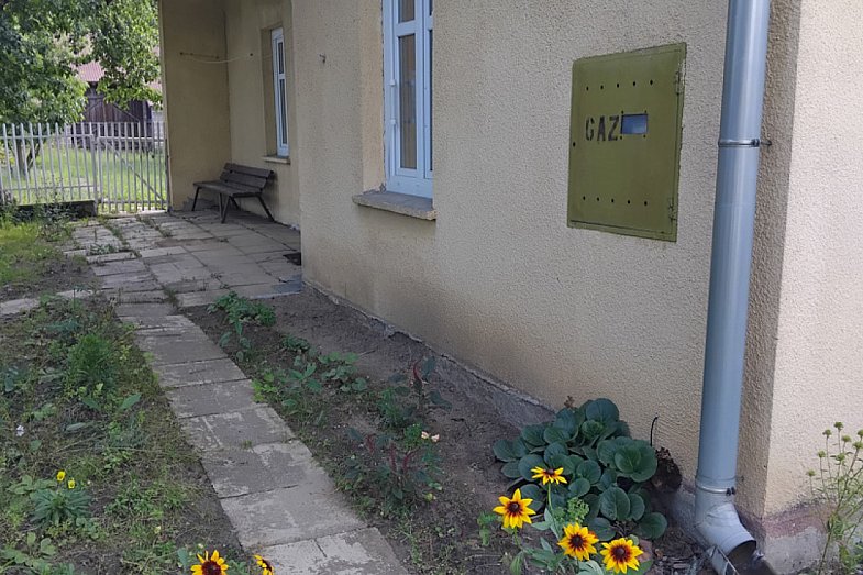 zdjecie ogloszenia