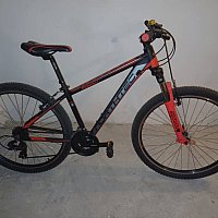 zdjecie ogloszenia