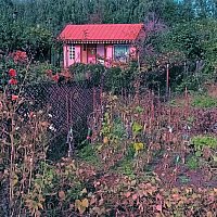 zdjecie ogloszenia