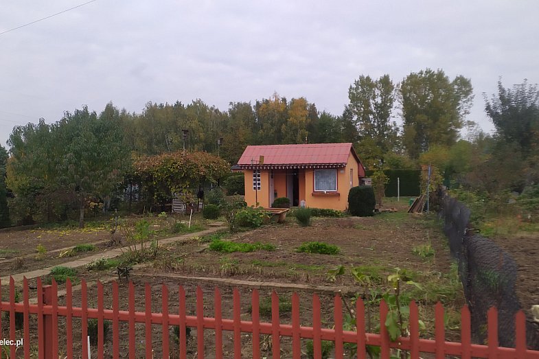 zdjecie ogloszenia