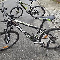 zdjecie ogloszenia