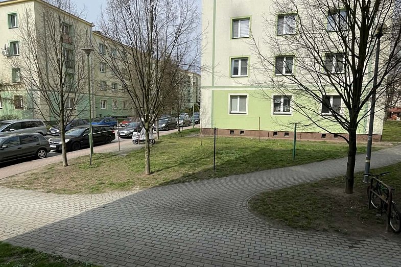 zdjecie ogloszenia