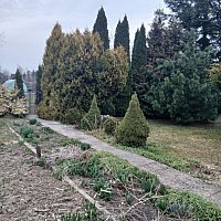 zdjecie ogloszenia