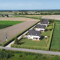 zdjecie ogloszenia