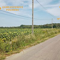 zdjecie ogloszenia