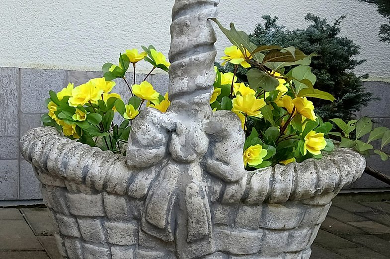 zdjecie ogloszenia