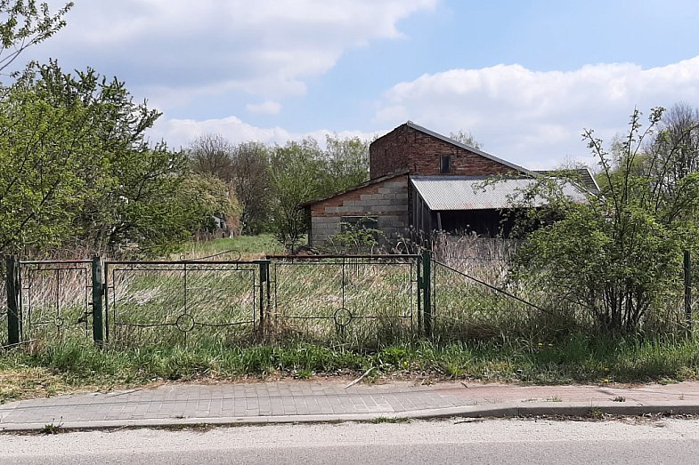 zdjecie ogloszenia