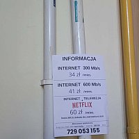 zdjecie ogloszenia