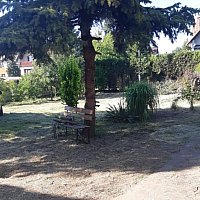 zdjecie ogloszenia