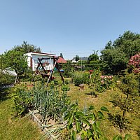 zdjecie ogloszenia