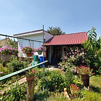 zdjecie ogloszenia